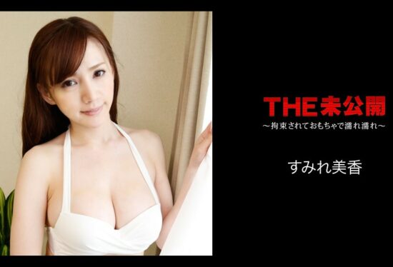 [Caribbeancom-080818-723] THE Undisclosed ~Bound and Wet with Toys~